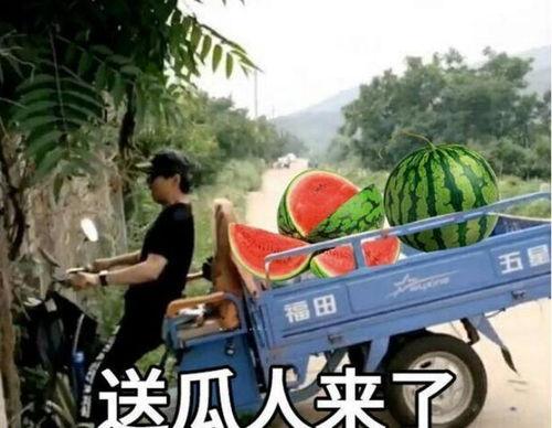 最近大瓜事件,揭秘明星隐私风波背后的真相-第1张图片-中文字幕人妻一区