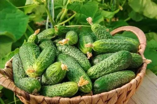 最近大瓜事件,揭秘明星隐私风波背后的真相-第2张图片-中文字幕人妻一区