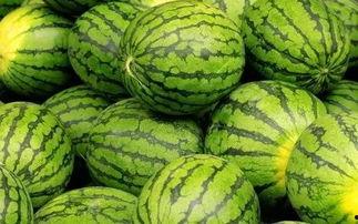 吃瓜网官网免费观看 吃瓜网官网,免费观看,畅享娱乐盛宴-第2张图片-中文字幕人妻一区 吃瓜网官网免费观看 吃瓜网官网,免费观看,畅享娱乐盛宴-第2张图片-中文字幕人妻一区