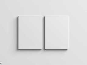 国产海报样机视频,匠心独运，视觉盛宴-第3张图片-中文字幕人妻一区