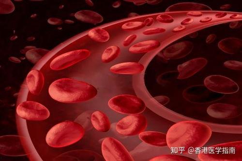 国产钇90微球治疗视频,革新肿瘤治疗新篇章-第3张图片-中文字幕人妻一区