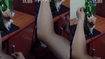 国产Sm紧缚视频,探索人体极限的束缚美学-第2张图片-中文字幕人妻一区 国产Sm紧缚视频,探索人体极限的束缚美学-第2张图片-中文字幕人妻一区