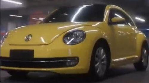 国产甲壳虫动画视频大全,童趣盎然，创意无限-第3张图片-中文字幕人妻一区