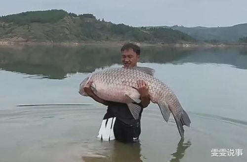 青鱼视频国产qyu20,Qyu20精彩瞬间回顾-第2张图片-中文字幕人妻一区