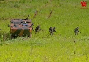 国产高清装甲车视频,科技强军,守护国家安全-第2张图片-中文字幕人妻一区 国产高清装甲车视频,科技强军,守护国家安全-第2张图片-中文字幕人妻一区