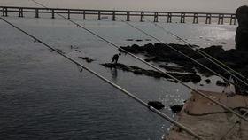 国产海钓杆测评视频大全,全方位解析与推荐-第2张图片-中文字幕人妻一区