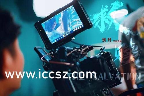 国产不卡免费观看视频-第3张图片-中文字幕人妻一区