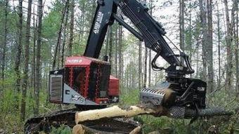 国产先进伐木机视频大全,视频大全深度解析-第3张图片-中文字幕人妻一区