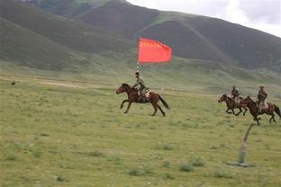 国产骑兵直播视频播放-第3张图片-中文字幕人妻一区